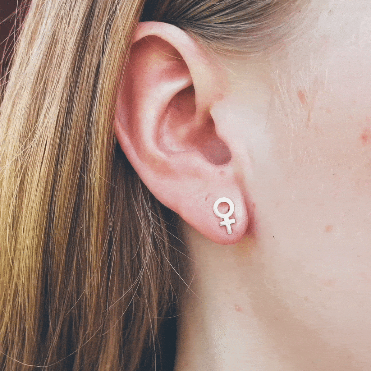 Emma Small Shiny Earrings