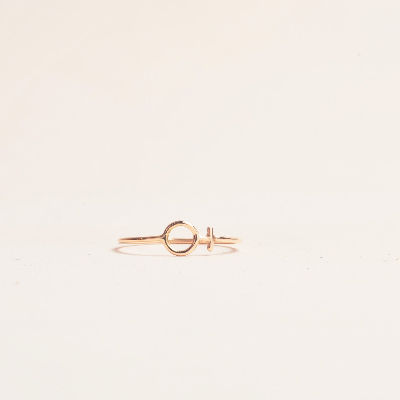 Anna Maria 18k Blank ring - Feministsmeden