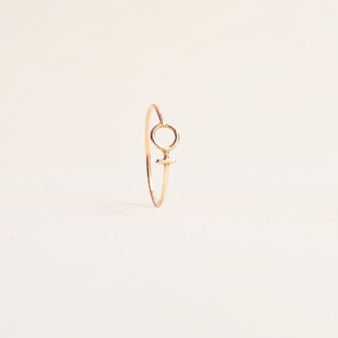 Anna Maria 18k Blank ring - Feministsmeden