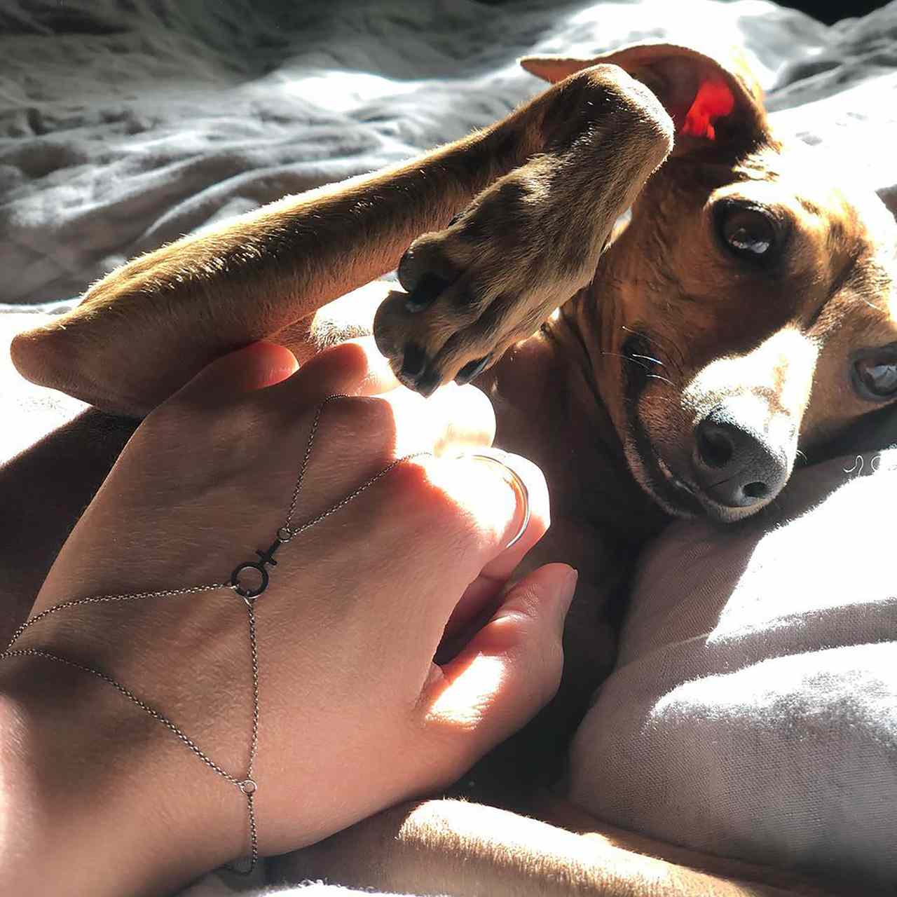 Kedjad Feministarmband - Feministsmeden