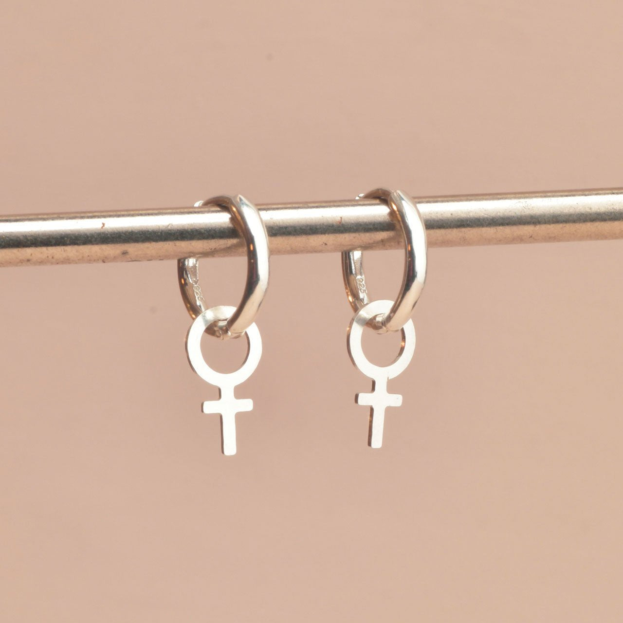 Systerskaps örhängen - Feministsmeden